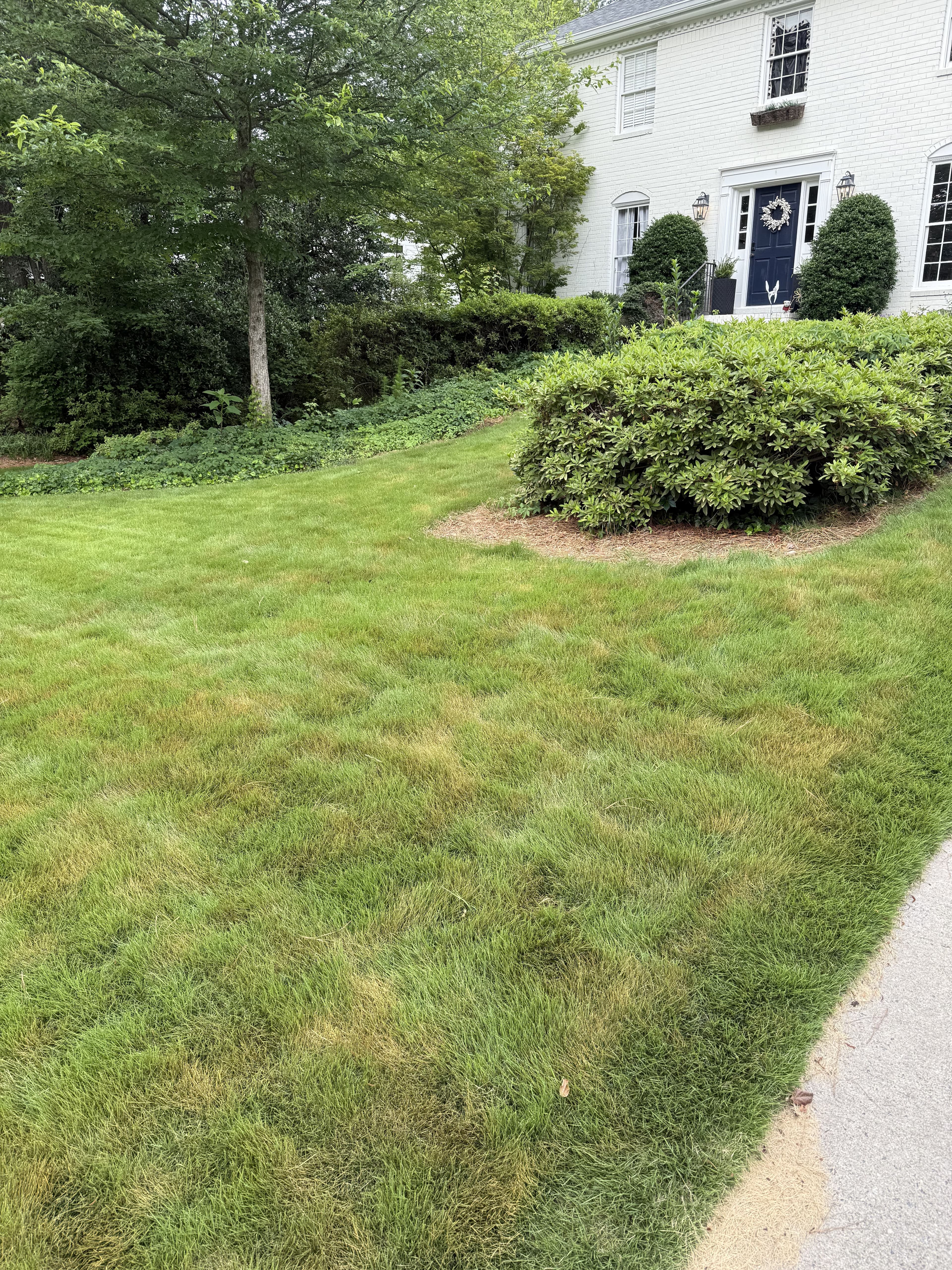Project Fresh Sod Installation at Brookhaven Lawn image
