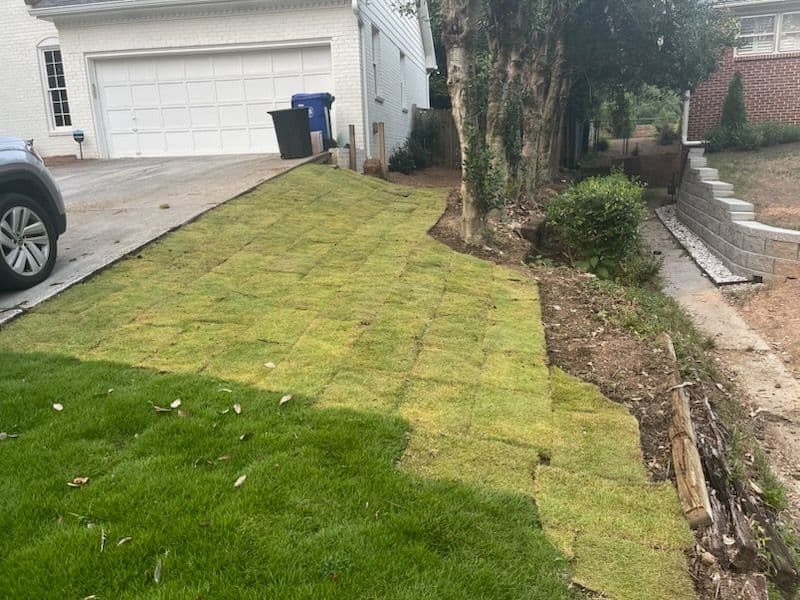 Brookhaven GA Yard Transformation with Sod Installation image