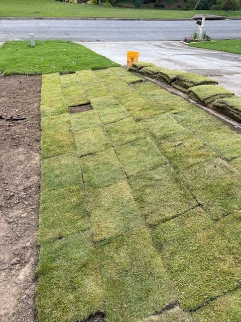 Gallery photos for Brookhaven GA Yard Transformation with Sod Installation: Image #1
